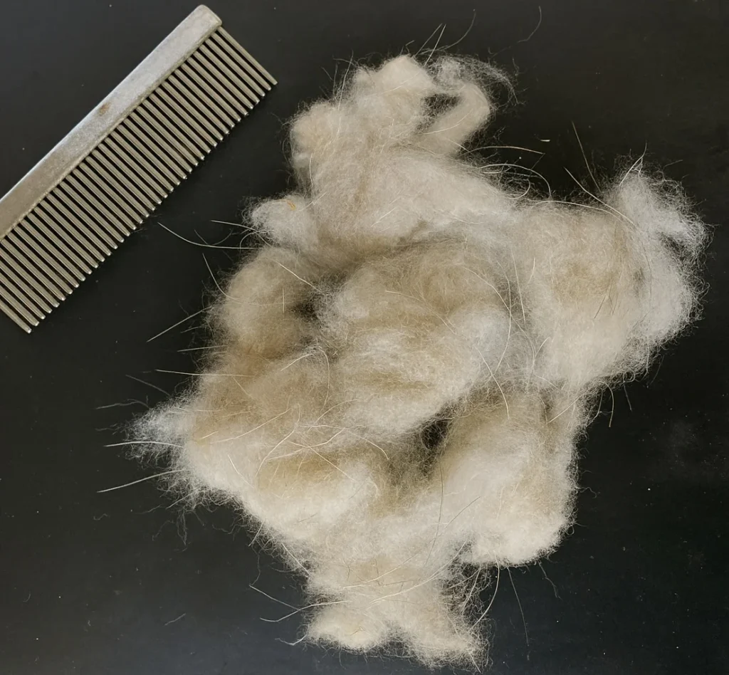 pashmina fiber combed